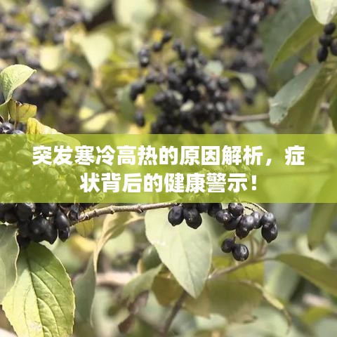 突发寒冷高热的原因解析，症状背后的健康警示！