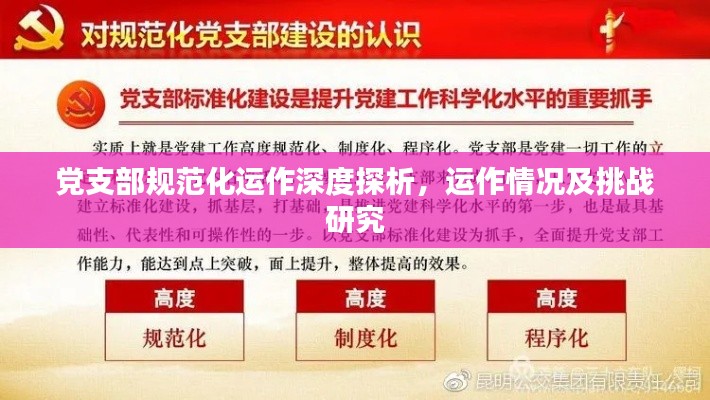 党支部规范化运作深度探析，运作情况及挑战研究