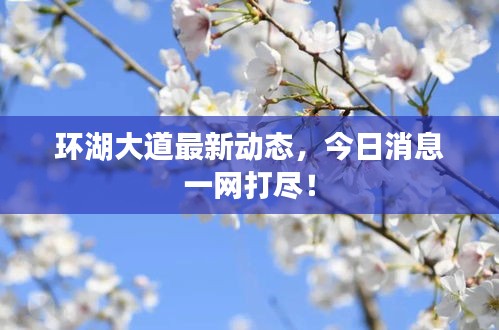 环湖大道最新动态，今日消息一网打尽！