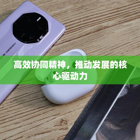 高效协同精神，推动发展的核心驱动力
