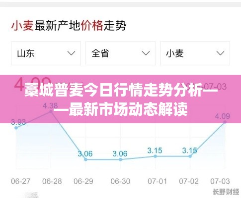藁城普麦今日行情走势分析——最新市场动态解读
