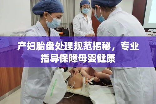产妇胎盘处理规范揭秘，专业指导保障母婴健康