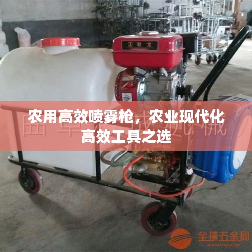 农用高效喷雾枪，农业现代化高效工具之选