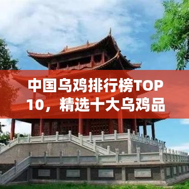 中国乌鸡排行榜TOP10，精选十大乌鸡品牌榜单揭晓！