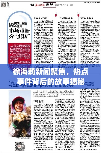 徐海莉新闻聚焦，热点事件背后的故事揭秘