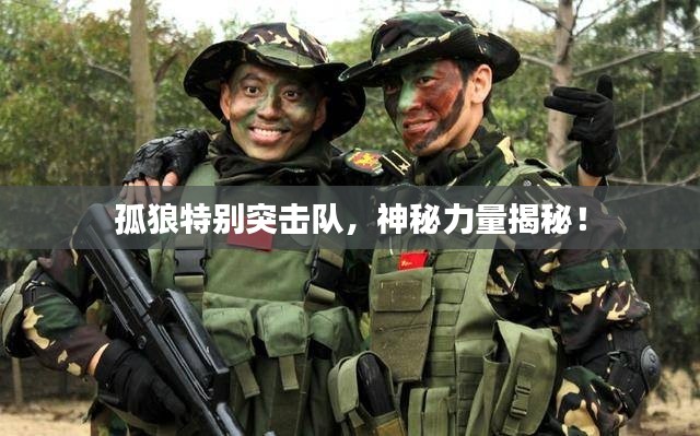 孤狼特别突击队，神秘力量揭秘！