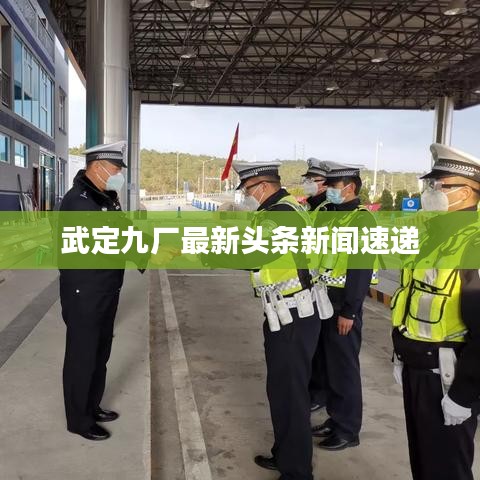 武定九厂最新头条新闻速递