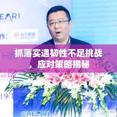 抓落实遇韧性不足挑战，应对策略揭秘
