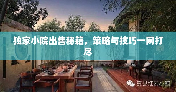 独家小院出售秘籍，策略与技巧一网打尽