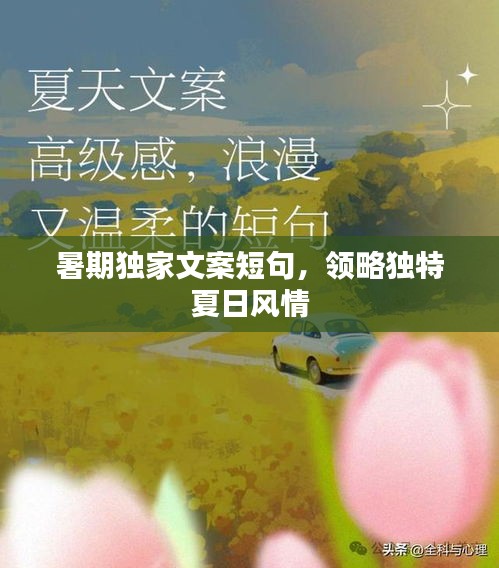 凿壁偷光