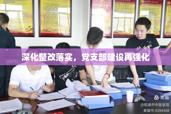 深化整改落实，党支部建设再强化