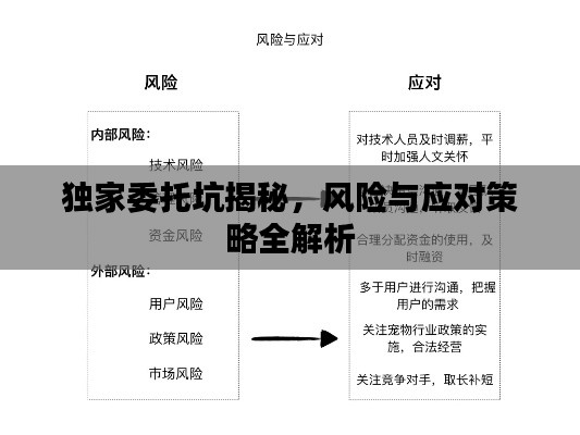 独家委托坑揭秘，风险与应对策略全解析