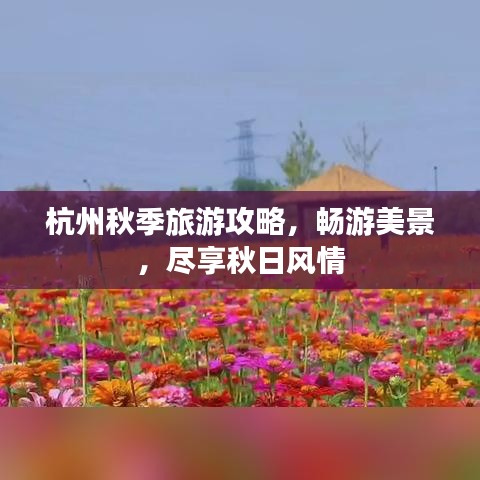 杭州秋季旅游攻略，畅游美景，尽享秋日风情