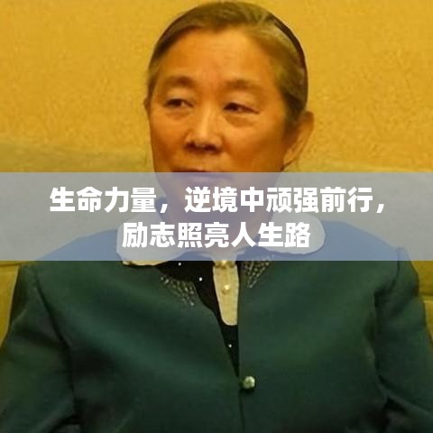 纲举目张