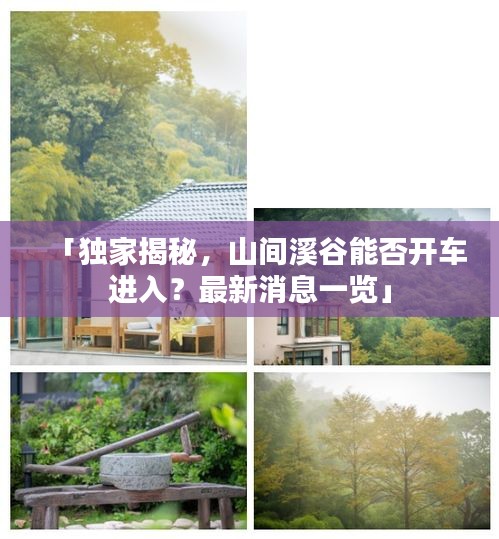 「独家揭秘，山间溪谷能否开车进入？最新消息一览」