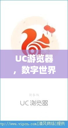 鲜花用途 第5页