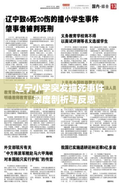 辽宁小学突发撞死事件，深度剖析与反思