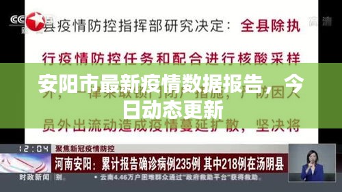 安阳市最新疫情数据报告，今日动态更新