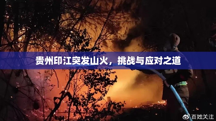 贵州印江突发山火，挑战与应对之道