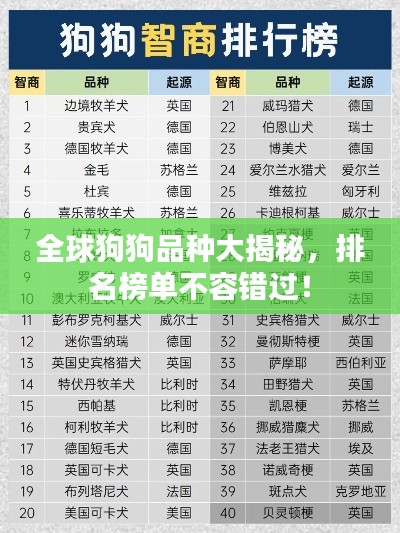 业业兢兢