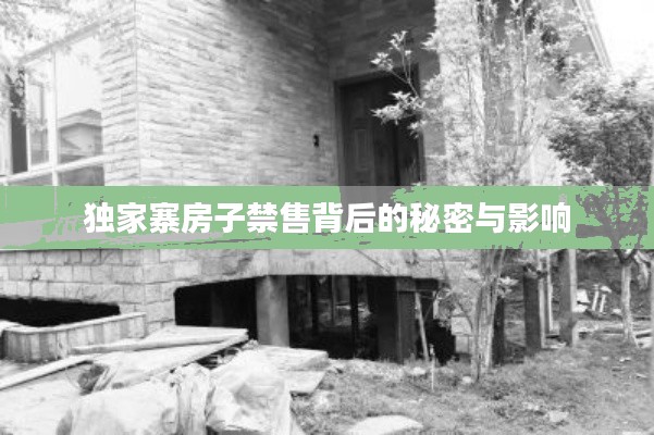 独家寨房子禁售背后的秘密与影响
