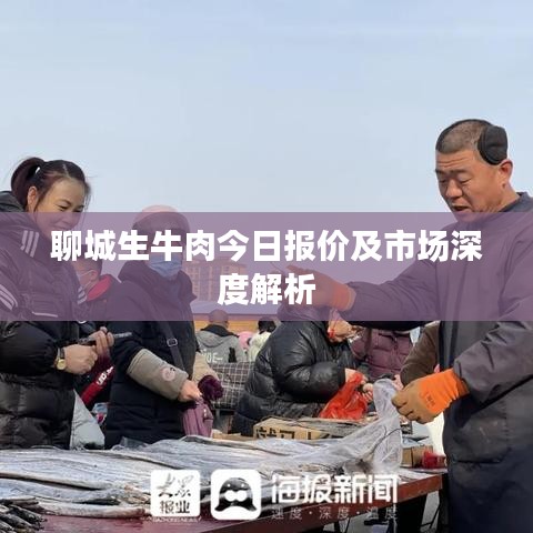 聊城生牛肉今日报价及市场深度解析