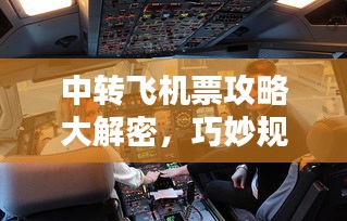 鸟入樊笼