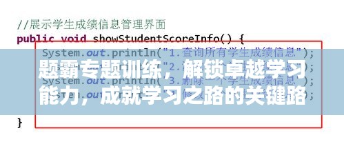 题霸专题训练，解锁卓越学习能力，成就学习之路的关键路径