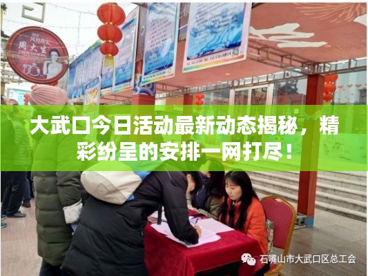 大武口今日活动最新动态揭秘，精彩纷呈的安排一网打尽！