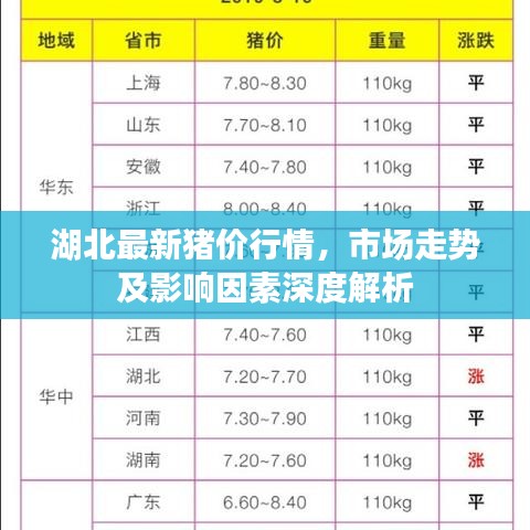 湖北最新猪价行情，市场走势及影响因素深度解析