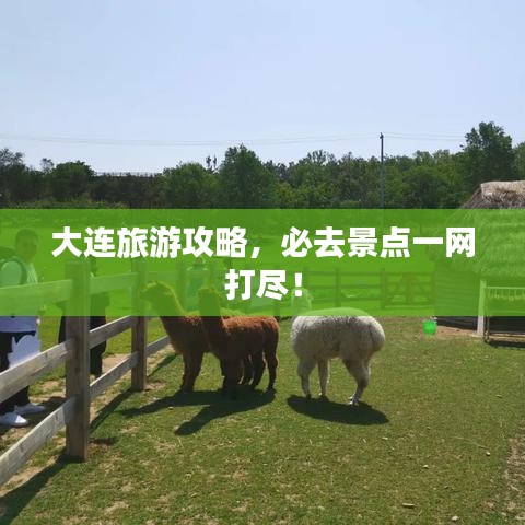 大连旅游攻略，必去景点一网打尽！