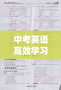 见缝就钻