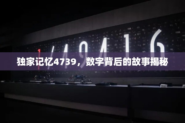独家记忆4739，数字背后的故事揭秘