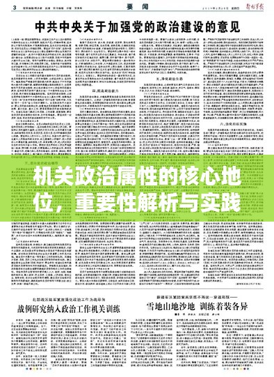机关政治属性的核心地位，重要性解析与实践策略探索