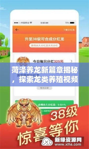 菏泽养龙新篇章揭秘，探索龙类养殖视频最新一期上线！