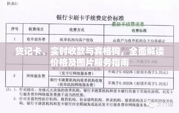 贷记卡、实时收款与宾格狗，全面解读价格及图片服务指南