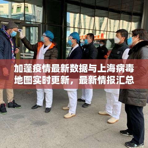 加蓬疫情最新数据与上海病毒地图实时更新，最新情报汇总