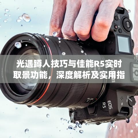 光遇蹲人技巧与佳能R5实时取景功能，深度解析及实用指南