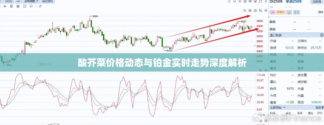 酸芥菜价格动态与铂金实时走势深度解析