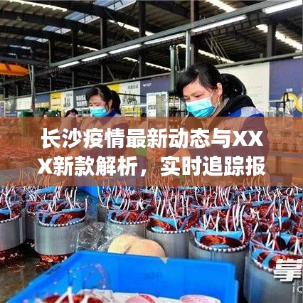 长沙疫情最新动态与XXX新款解析，实时追踪报告
