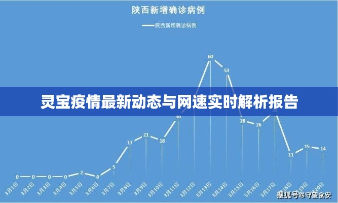 灵宝疫情最新动态与网速实时解析报告