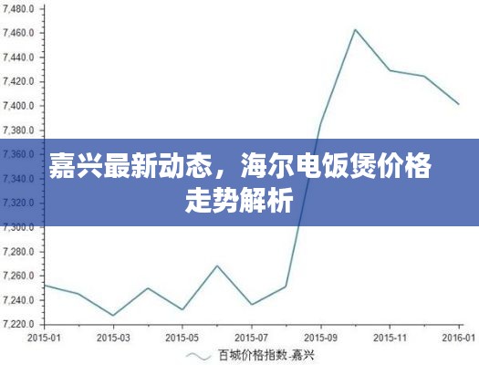 嘉兴最新动态,海尔电饭煲价格走势解析