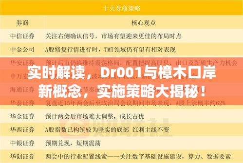 实时解读，Dr001与樟木口岸新概念，实施策略大揭秘！