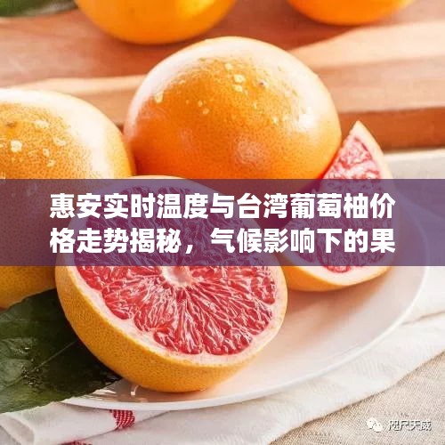 惠安实时温度与台湾葡萄柚价格走势揭秘，气候影响下的果品市场新动态