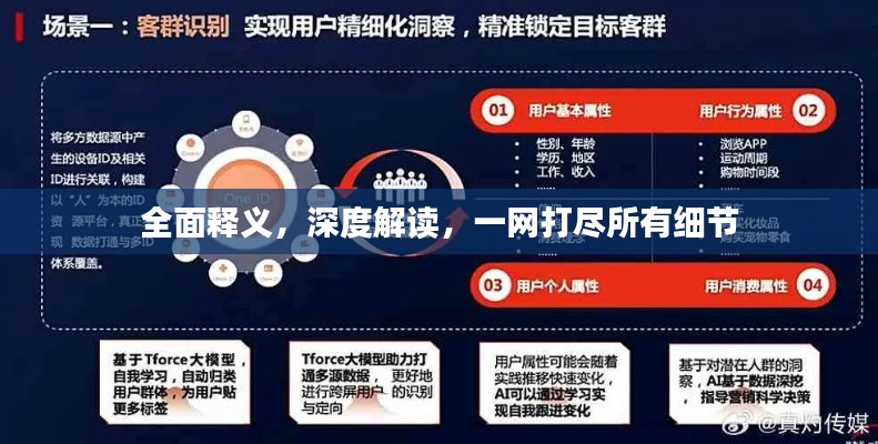 全面释义，深度解读，一网打尽所有细节