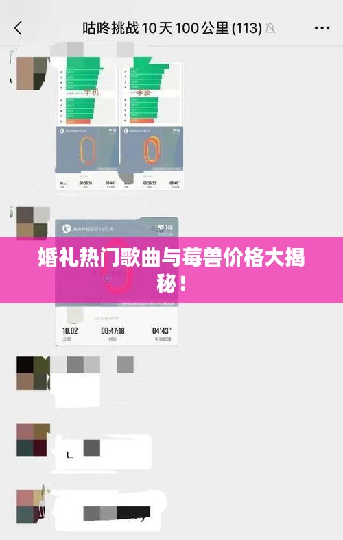 婚礼热门歌曲与莓兽价格大揭秘！