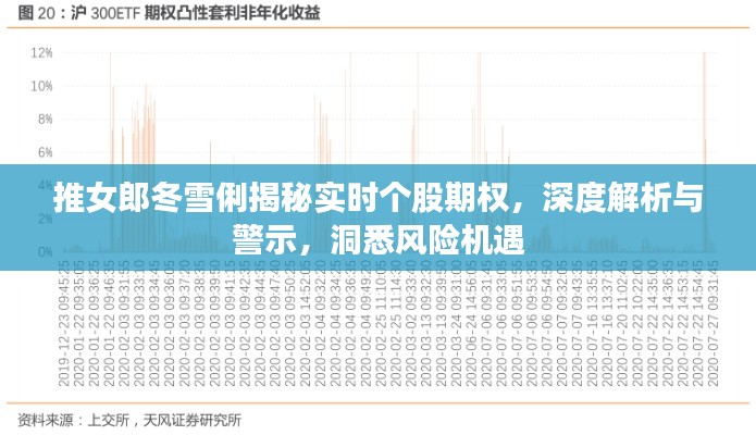 推女郎冬雪俐揭秘实时个股期权，深度解析与警示，洞悉风险机遇