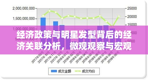 经济政策与明星发型背后的经济关联分析，微观观察与宏观经济数据的深度解读