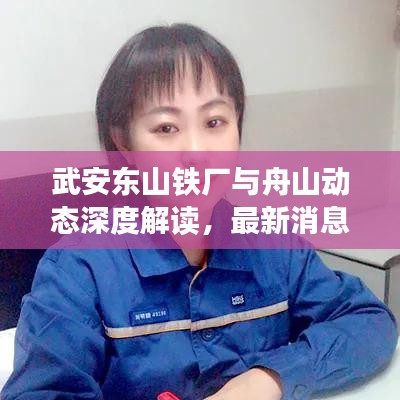 武安东山铁厂与舟山动态深度解读，最新消息及策略建议