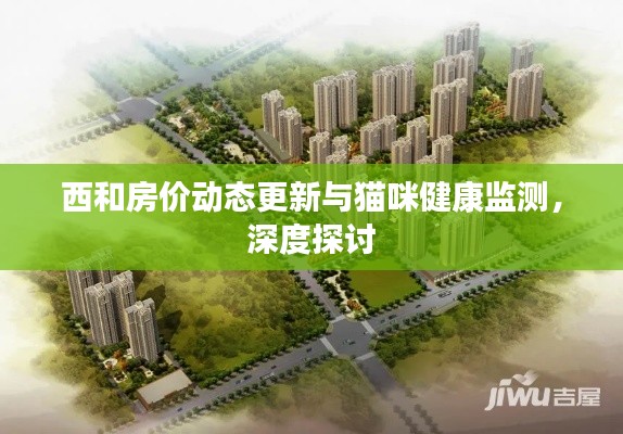 西和房价动态更新与猫咪健康监测，深度探讨